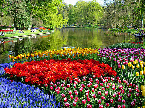 keukenhof-3